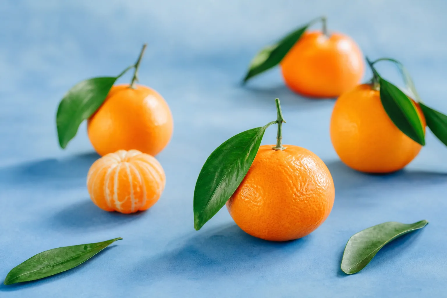 Fresh mandarins